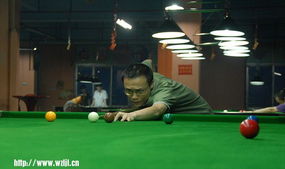 第二届雅威威台球赛摄影活动参选作品展示与投稿倒计时